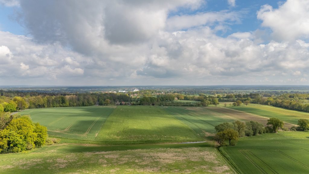 Blick auf das Steinhuder Meer.